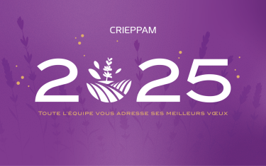 CRIEPPAM Carte de Voeux 25 - 210x105mm - RV - V2-01