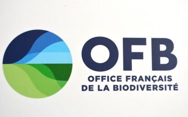 ofb-logo