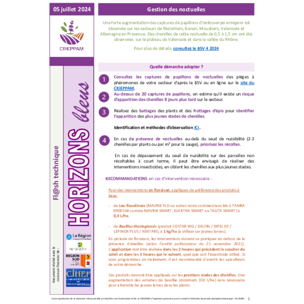 Flash Horizons bleus du 5 juillet 2024 - Gestion des noctuelles