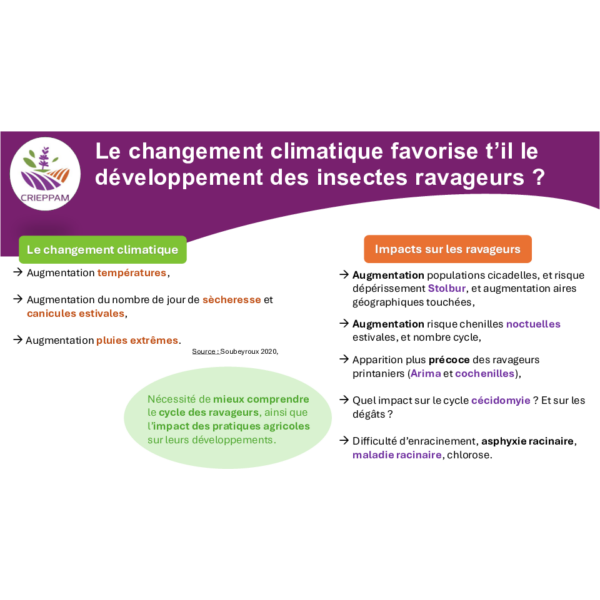 Présentation Pôle Santé du végétal 13 novembre 2024