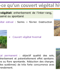 Présentation Pôle Agronomie - agroécologie 13 novembre 2024