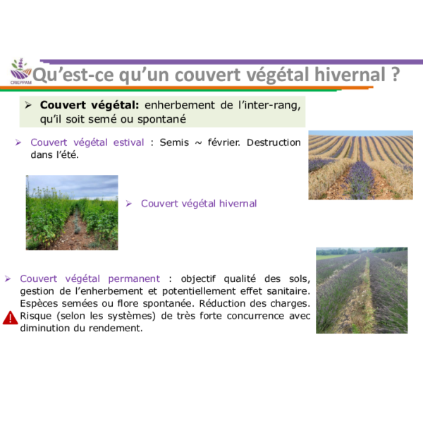 Présentation Pôle Agronomie - agroécologie 13 novembre 2024